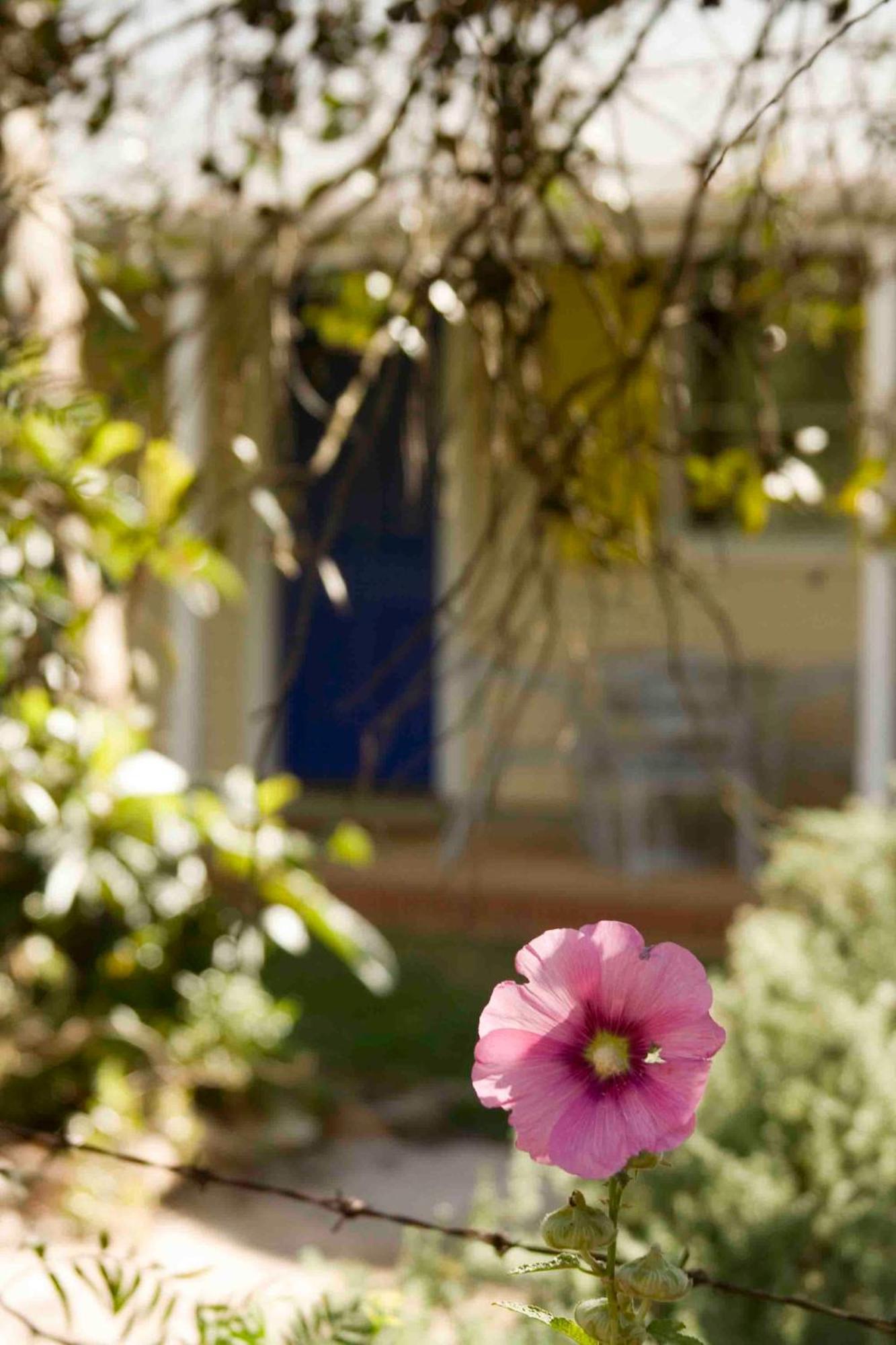 Amy'S House Bed & Breakfast Auburn Ngoại thất bức ảnh