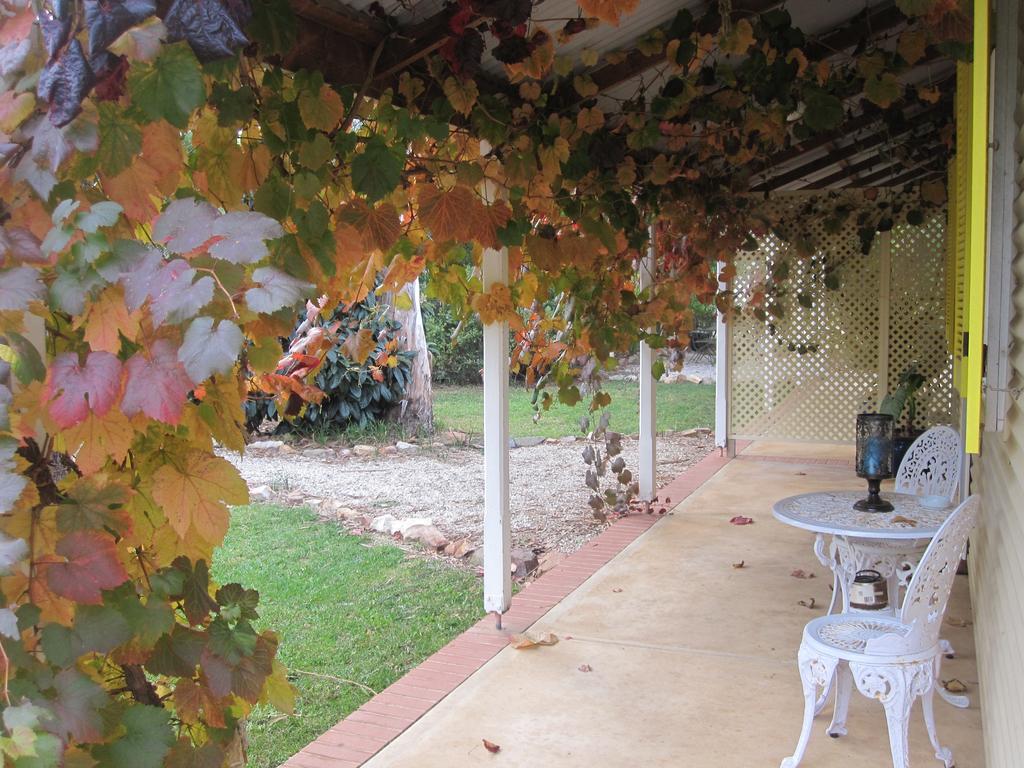 Amy'S House Bed & Breakfast Auburn Ngoại thất bức ảnh