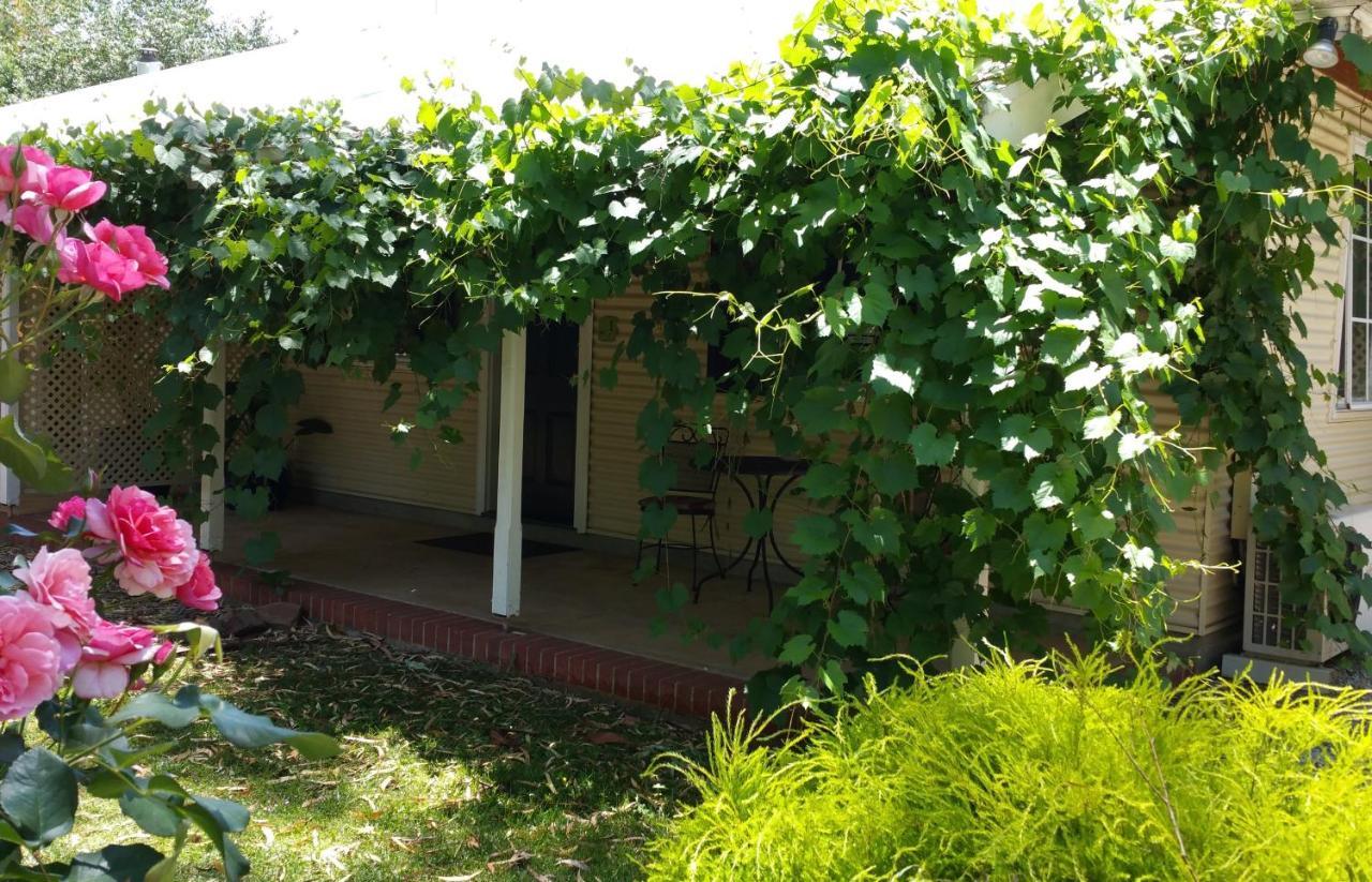 Amy'S House Bed & Breakfast Auburn Ngoại thất bức ảnh
